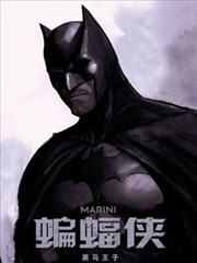 蝙蝠侠-黑马骑士